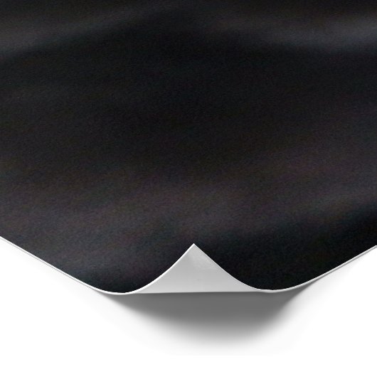 Black Swan Poster (Hoek)