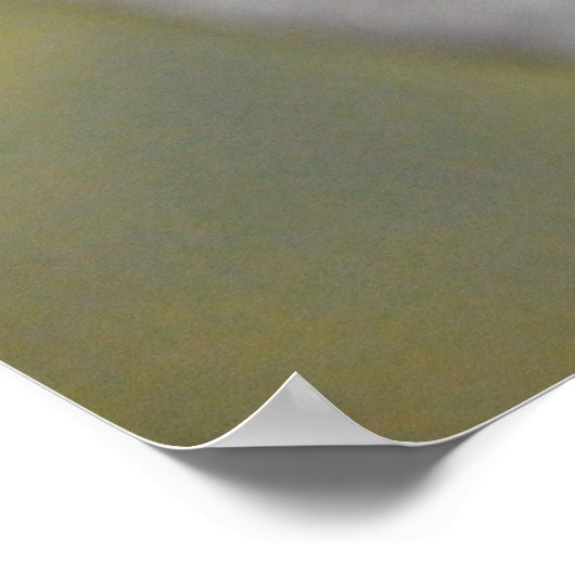 Black Swan Poster (Hoek)