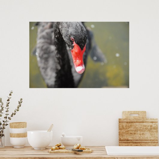 Black Swan Poster (Keuken)