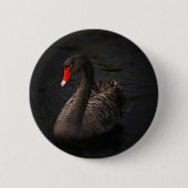 Black Swan Ronde Button 5,7 Cm (Voorkant)