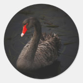 Black Swan Ronde Sticker (Voorkant)