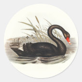 Black Swan  Ronde Sticker (Voorkant)
