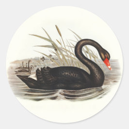 Black Swan  Ronde Sticker