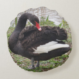 Black Swan Round Pillow Rond Kussen