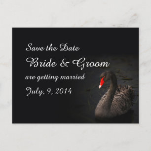 Black Swan Save the Date Briefkaart