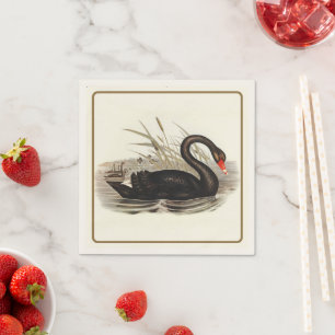 Black Swan  Servet