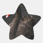 Black Swan Ster Sticker (Voorkant)