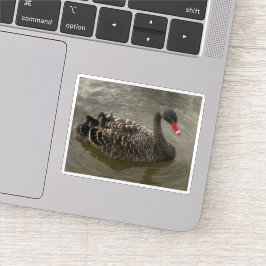 Black Swan Sticker