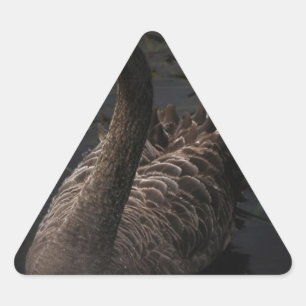 Black Swan Sticker