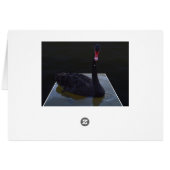 Black Swan Swimming In Dimensional Pond, (Achterkant Horizontaal)