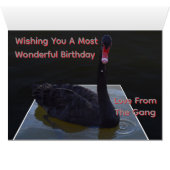 Black Swan Swimming In Dimensional Pond, (Binenzijde Horizontaal (Onderkant))