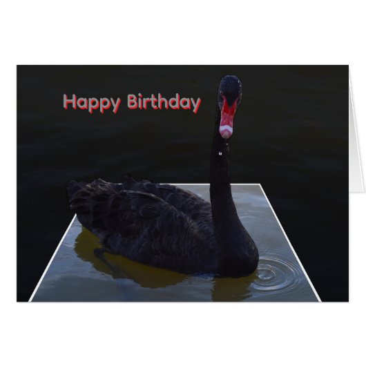 Black Swan Swimming In Dimensional Pond, (Voorkant Horizontaal)