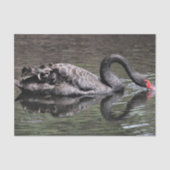 Black Swan Tissuepapier (Voorkant)
