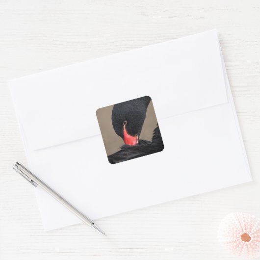 Black Swan Vierkante Sticker (Envelop)