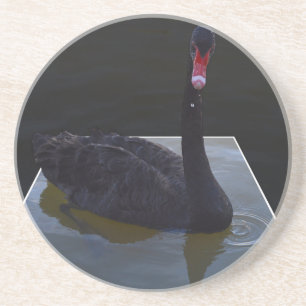 Black Swan zwemt in Dimensional Pond, Zandsteen Onderzetter