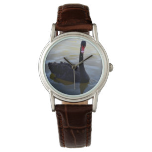 Black Swan zwemt op de Murray, Horloge