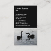 Black Swans Greeting - Black Visitekaartje (Achterkant)