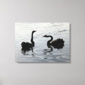 Black Swans Greeting Canvas Afdruk (Voorkant)