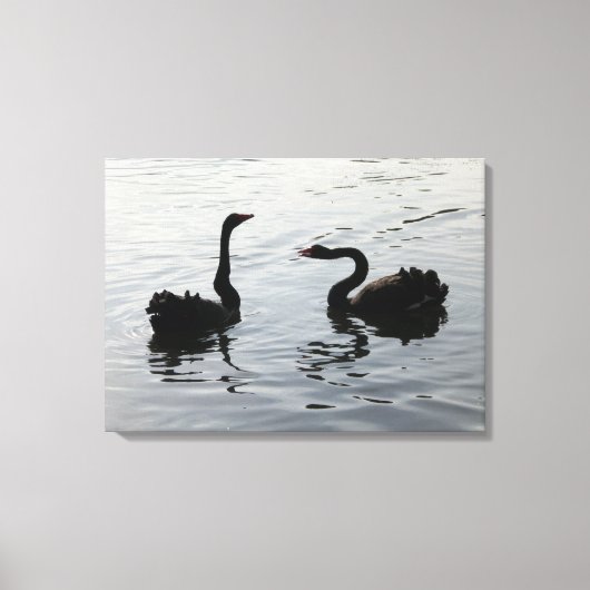 Black Swans Greeting Canvas Afdruk (Voorkant)
