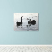 Black Swans Greeting Canvas Afdruk (Insitu (Houten vloer))