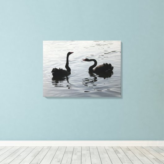 Black Swans Greeting Canvas Afdruk (Insitu (Houten vloer))