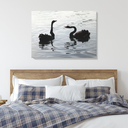 Black Swans Greeting Canvas Afdruk (Insitu (Slaapkamer))