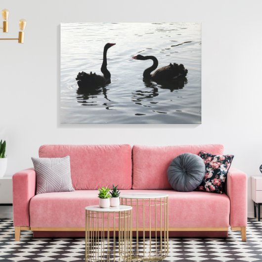 Black Swans Greeting Canvas Afdruk (Insitu (Woonkamer))