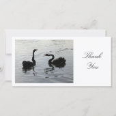 Black Swans Greeting - Hartelijk dank Bedankkaart (Voorkant)