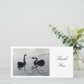 Black Swans Greeting - Hartelijk dank Bedankkaart (Staand voorkant)