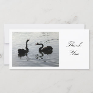 Black Swans Greeting - Hartelijk dank Bedankkaart