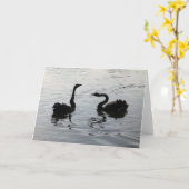 Black Swans Greeting Kaart (Gele Bloem)