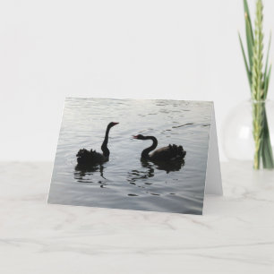 Black Swans Greeting Kaart