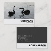 Black Swans Greeting Visitekaartje (Voorkant / Achterkant)