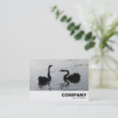 Black Swans Greeting Visitekaartje (Staand voorkant)