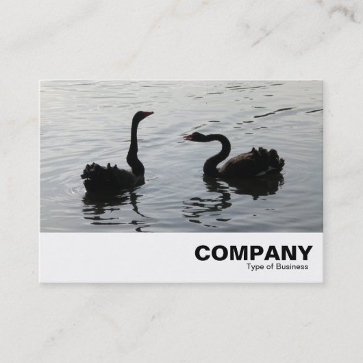 Black Swans Greeting Visitekaartje (Voorkant)