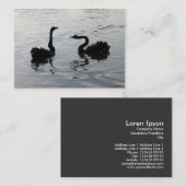 Black Swans Greeting Visitekaartje (Voorkant / Achterkant)