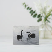 Black Swans Greeting Visitekaartje (Staand voorkant)