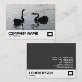 Black Swans Greeting Visitekaartje (Voorkant / Achterkant)