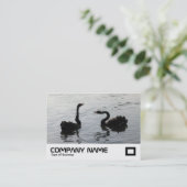 Black Swans Greeting Visitekaartje (Staand voorkant)