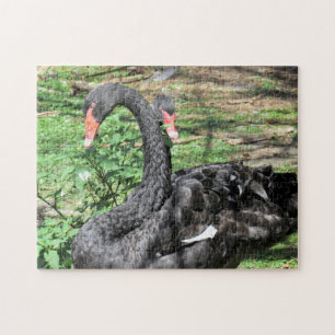 Black Swans Jigzaag Puzzle Legpuzzel