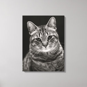 Black Tabby Kitten Canvas Afdruk