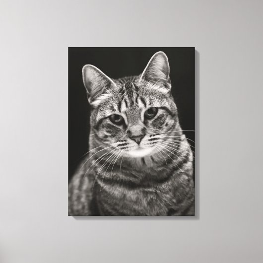 Black Tabby Kitten Canvas Afdruk (Voorkant)