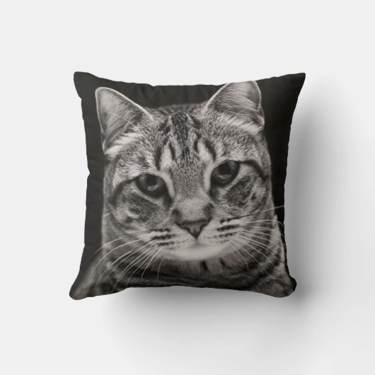 Black Tabby Kitten Kussen (Achterkant)