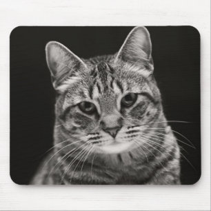 Black Tabby Kitten Muismat
