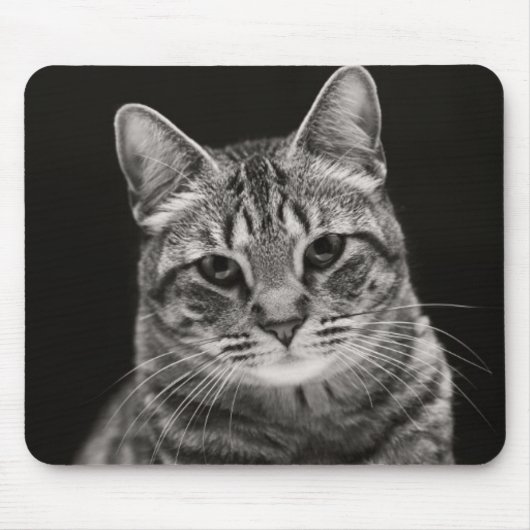 Black Tabby Kitten Muismat (Voorkant)