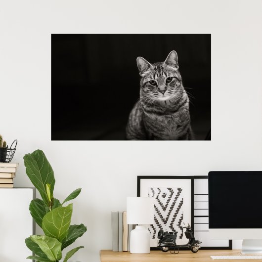 Black Tabby Kitten Poster (Thuiskantoor)
