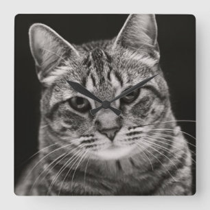 Black Tabby Kitten Vierkante Klok