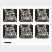 Black Tabby Kitten Vierkante Sticker (Vel)
