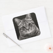 Black Tabby Kitten Vierkante Sticker (Envelop)