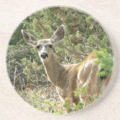 Black Tail Deer Onderzetter (Voorkant)